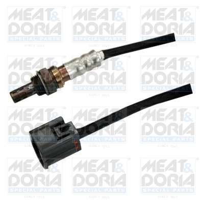 Oxygen Sensor